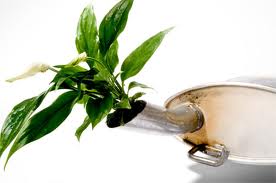 Unione Europea propone nuove riduzioni di CO2 per vetture e veicoli commerciali