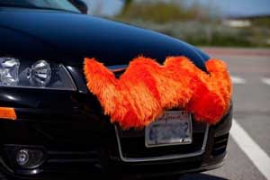 L´auto coi baffi L´auto coi baffi
