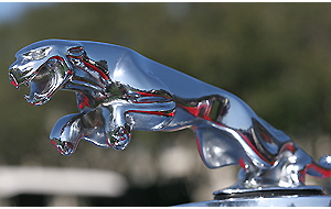 Grandi novità Jaguar Grandi novità Jaguar