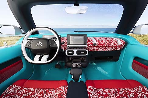 Citroen Cactus M concept