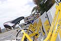 Bike Shating nelle vicinanze dell´asilo nido ad Acquaviva delle Fonti - Bari