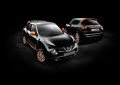 Conclude il catalogo l’Exclusive Pack, che prevede le calotte degli specchietti e lo spoiler al tetto nella colorazione Orange Racing. 