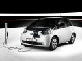 Da sempre leader nella ricerca della mobilità alternativa ed ecostenibile, la Toyota presenta un nuovo prodotto nello stand di Parigi, caratterizzato da soluzioni compatibili con le pressanti esigenze di salvaguardia del pianeta.