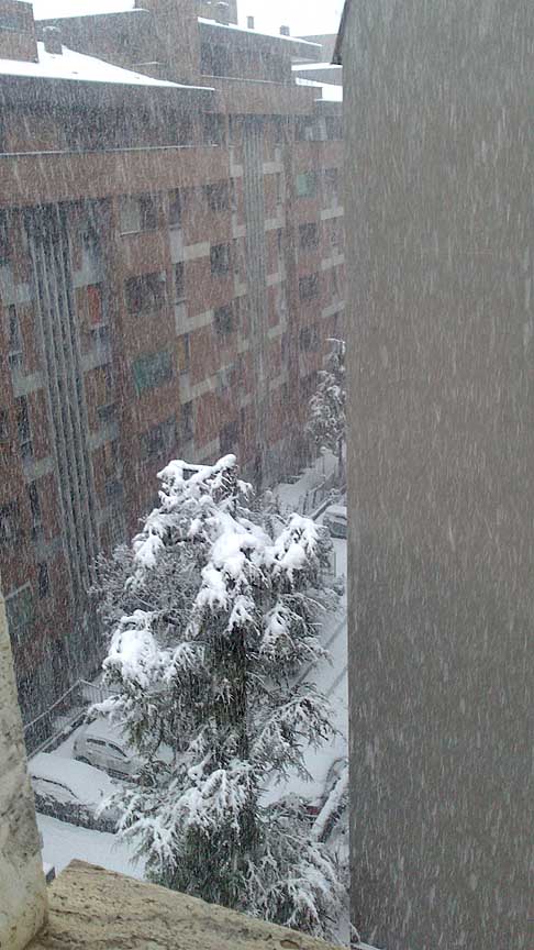 Bologna - Bologna sommersa dalla neve il 24 e 25 Febbraio 2013 width=