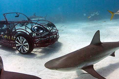 Volkswagen - Volkswgen Beetle Shark Cage Cabrio width=