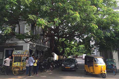 Traffico e atmosfere indiane - Atmosfera Pondicherry in India con tre ruote usati come taxi, bike e auto Toyota width=