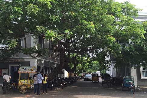 Traffico e atmosfere indiane - Vogliamo affrontare il serio problema della guida pericolosa in un paese dove regna disordine e caos automobilistico come l´India width=
