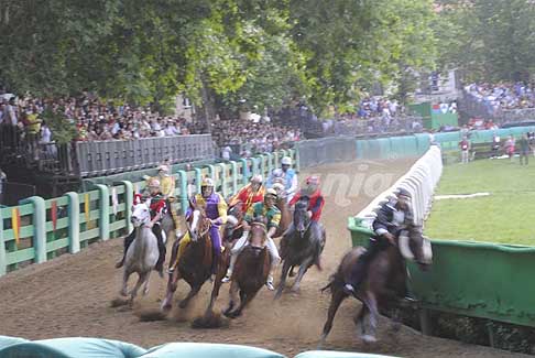 Corsa di Cavalli - Palio di Ferrara Corsa dei Cavalli al 2° giro in testa il cavallo Preziosa Penelope