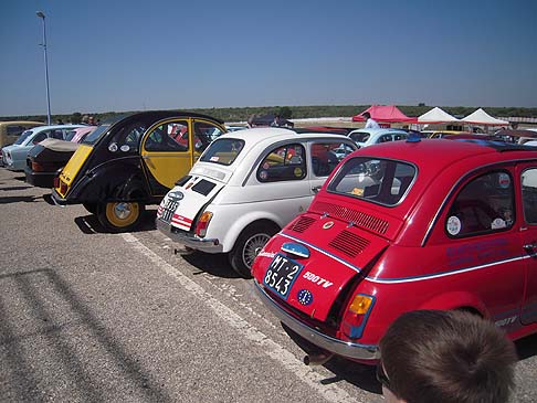 Fiat - Panoramica vetture al Raduno Giannini width=