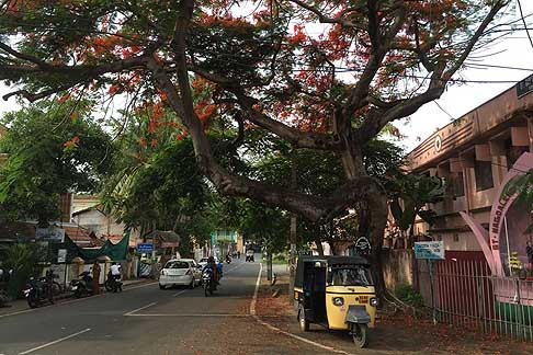 Traffico e atmosfere indiane - Viabilita auto, moto e tre ruote a Cochin in India width=