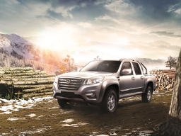 Great Wall Steed 6 Work