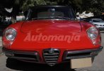 Scovata Alfa Romeo Spider Duetto Osso di Seppia del 1969