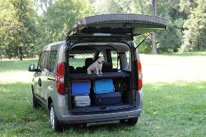 Opel lancia un modello a misura di cane Opel lancia un modello a misura di cane