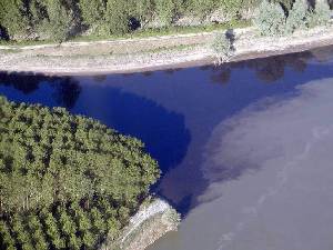 Tracce di gasolio versato nel fiume Lambro Tracce di gasolio versato nel fiume Lambro