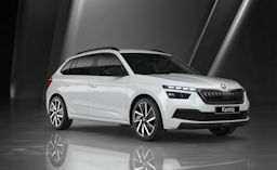 Skoda Kamiq Black Dots