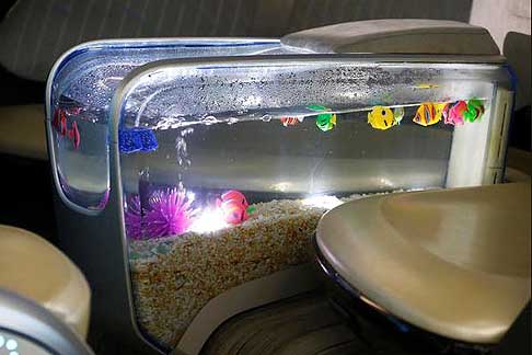 GAC - GAC WitStar with aquarium containing plastic fish at the NAIAS 2015 in Detroit - Credit Mark Blinch width=