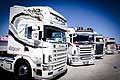  Scania camion tuning all´Autodromo del Levante di Binetto